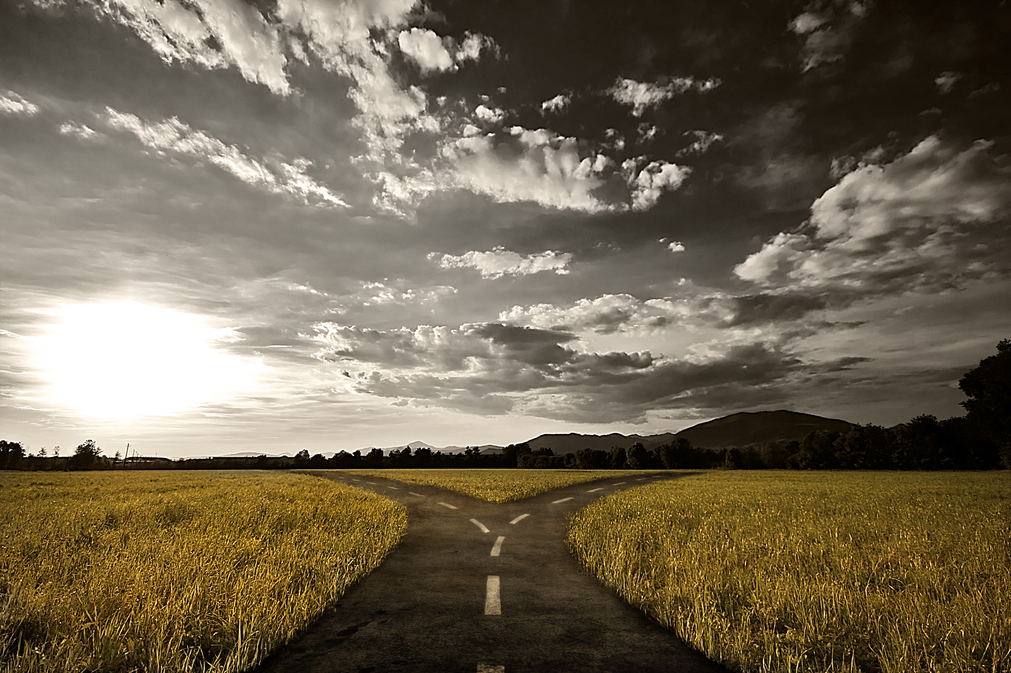 From Reaction to Resilience: How Corporate Leaders Can Navigate Uncertainty Effectively