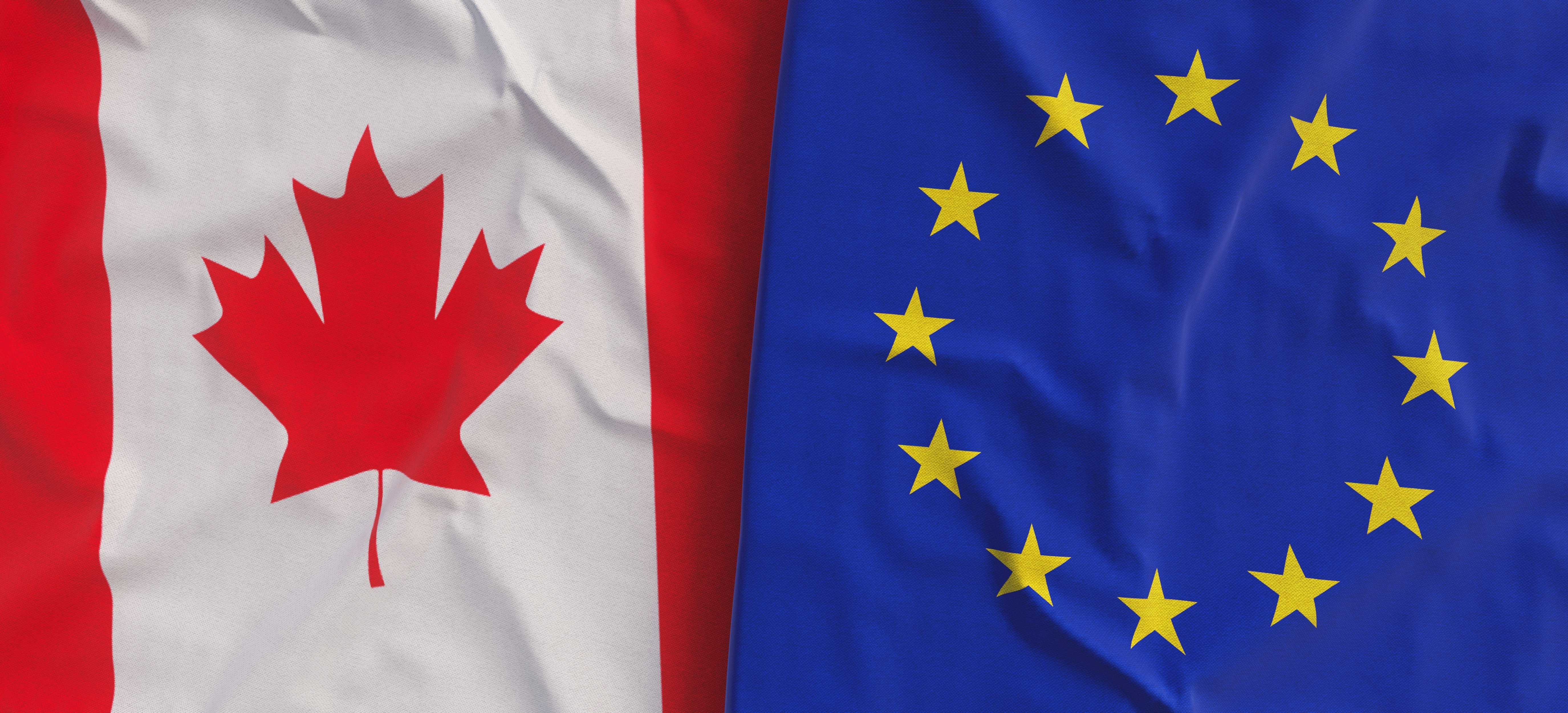 Procido LLP Hosts Webinar: Doing Business in Europe: A Practical Guide for Canadian Businesses